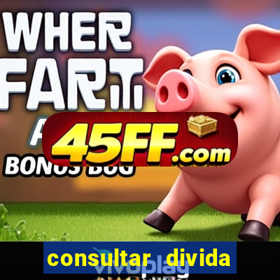 consultar divida casas bahia